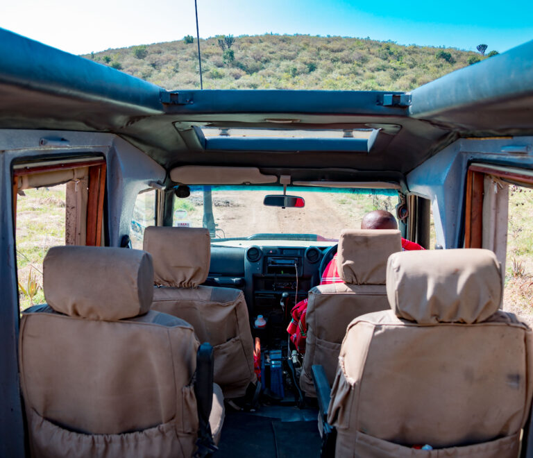 Landcruiser Interior