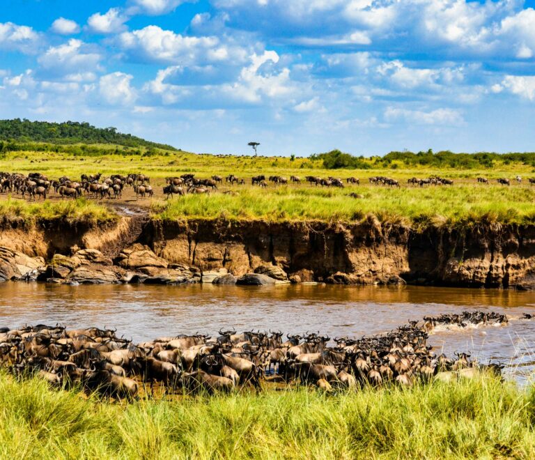 Nairobi to Masai Mara Transfers (2026): The Complete Guide to Getting There Safely, Comfortably & Stress-Free