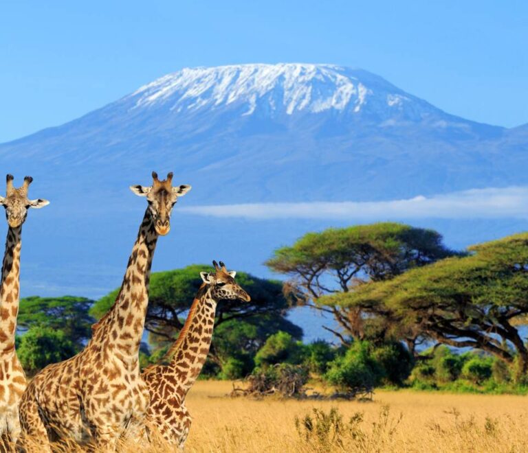9-Day Luxury Kenya Flying Safari | Amboseli, Samburu & Masai Mara Adventure