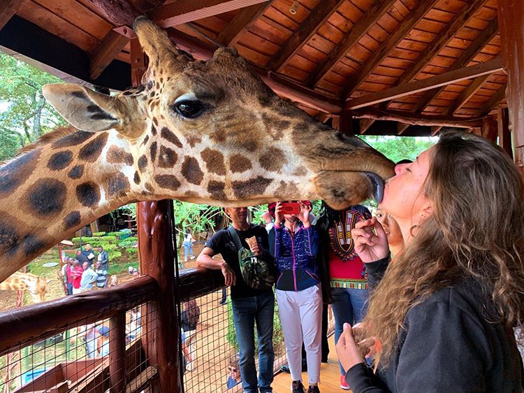 Complete Guide to Day Trips From Nairobi (2026): Best Tours, Safaris & Hidden Gems by a Local Expert
