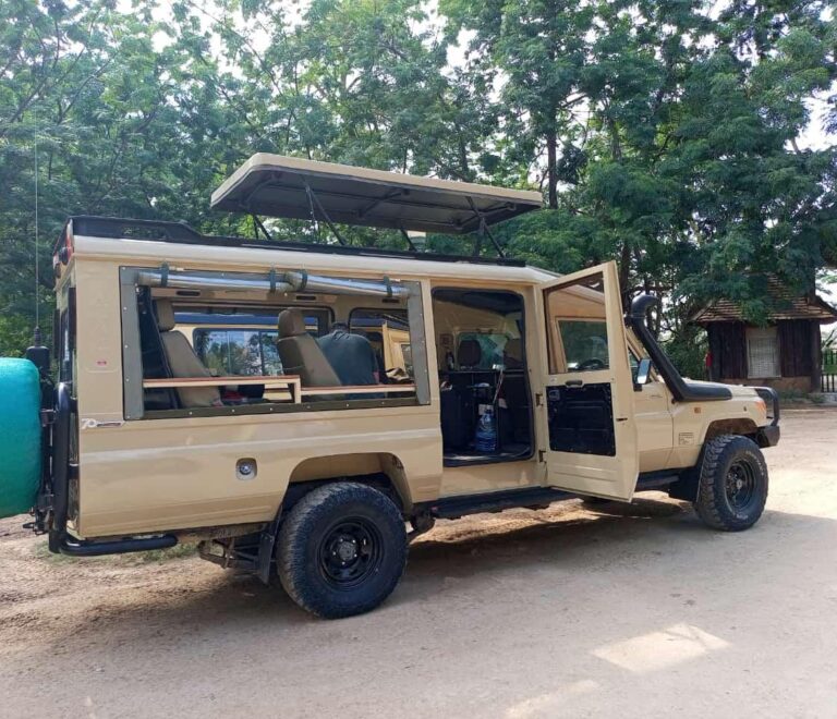 Forget the Standard Tour: Rent a Premium 4×4 Safari Land Cruiser Across Kenya