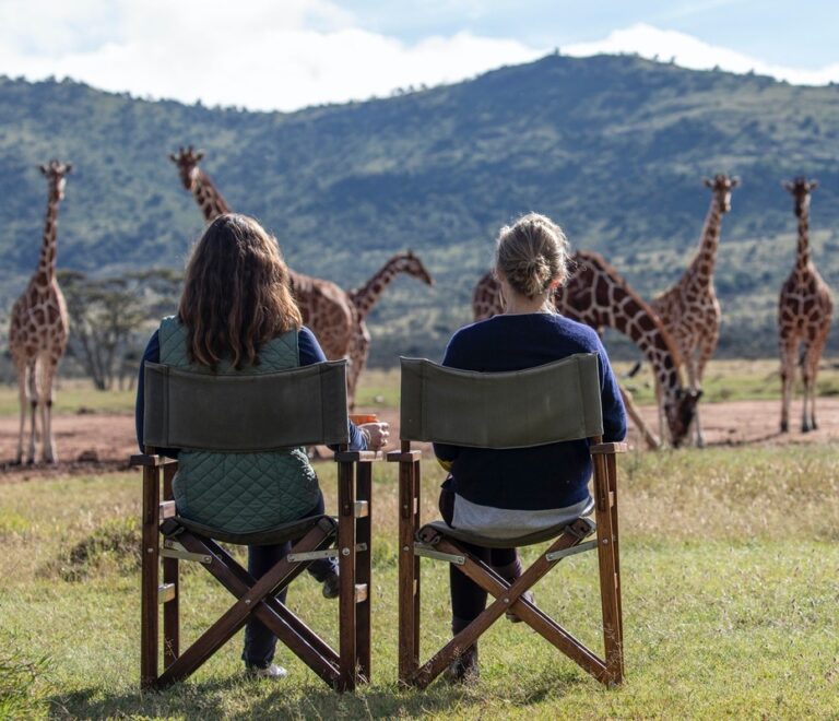 4×4 Safari Vehicle Hire in Kenya: The Complete Guide from a Safari Professional with 15 Years of Experience