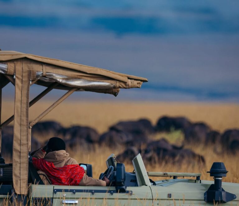 Safari Land Cruiser Hire Nairobi: Why Your Private Guide is the Ultimate Luxury