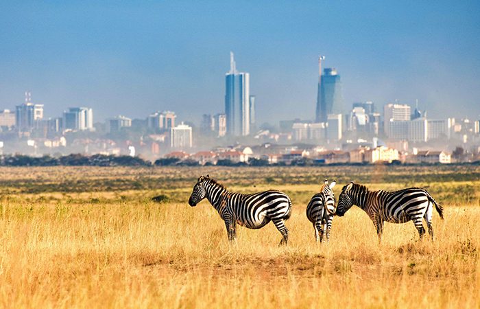 Best Day Trips from Nairobi: Where to Go When You Only Have 24 Hours