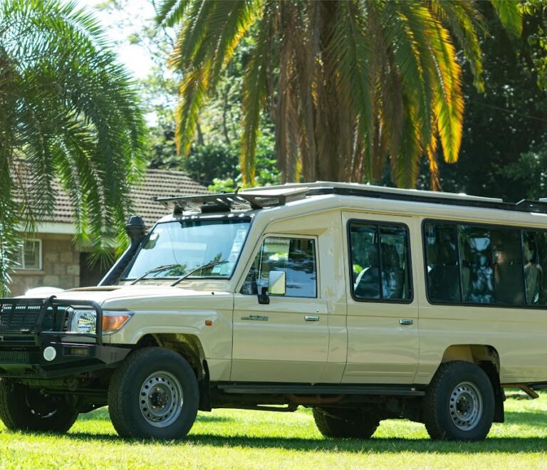 The Best Safari Transport in Nairobi: Car Hire, Day Excursions & Transit Safaris