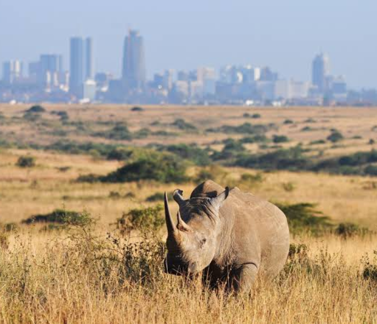 Is Nairobi Safe for Tourists? Everything You Need to Know Before Visiting Nairobi