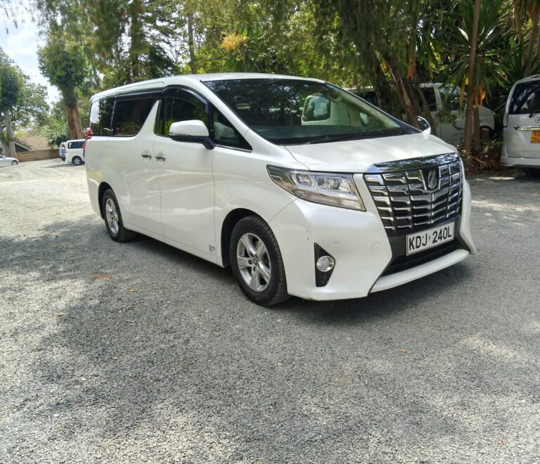 What Can You Do During a Nairobi Airport Layover? The Ultimate Guide to Airport Transfers from JKIA & Wilson Airport