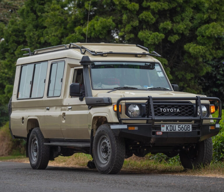 First Time on a Kenya Safari? 11 Essential Lessons Most Travelers Learn Too Late