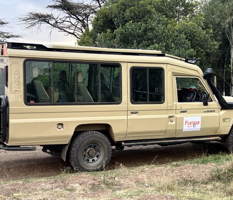 Beyond the Concrete: Why the Journey to Maasai Mara Demands the Right Safari Transport