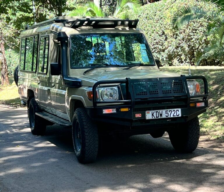 Nairobi National Park Daily Trips & Nairobi Excursions: The Best Way to Experience Nairobi in One Day