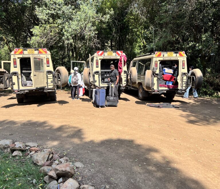 How Much Does a Kenya Safari Cost?