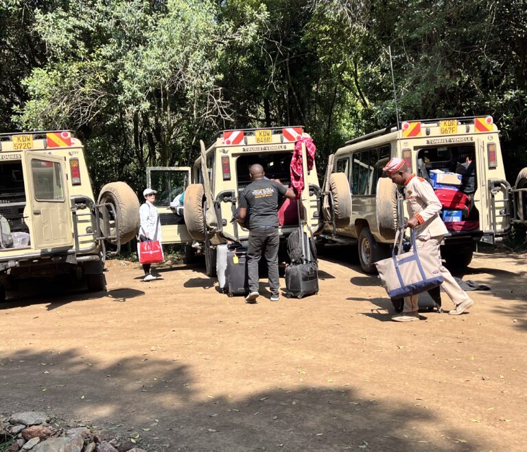 Transport-Only Safari in Kenya: What It Means, What’s Included & What to Know Before You Book
